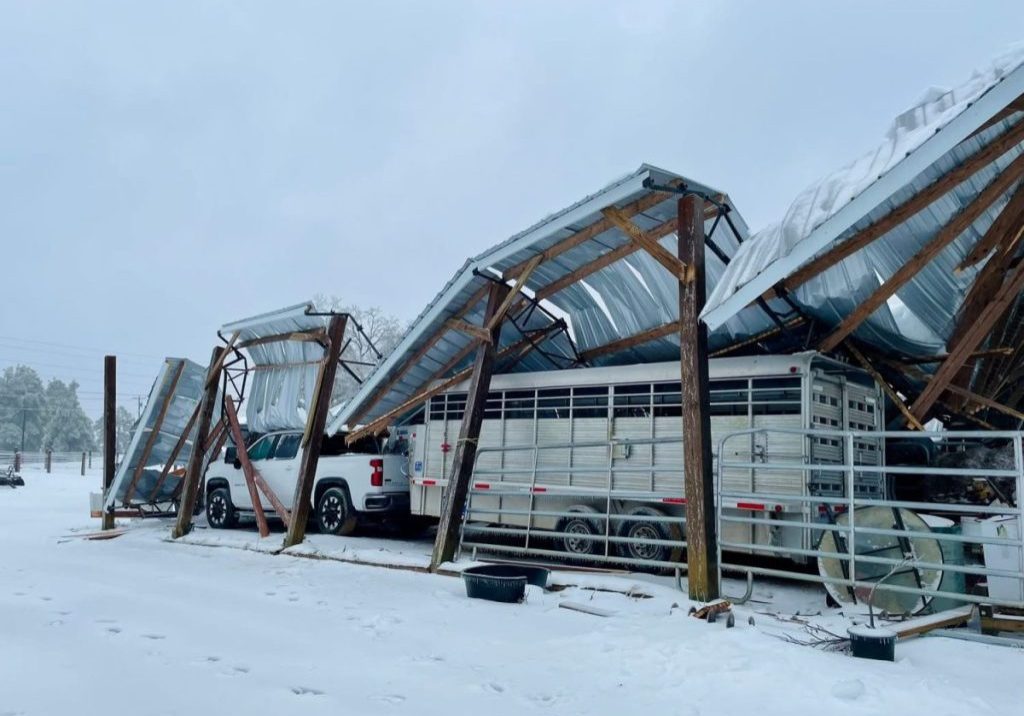 PHOTO SUBMITTED/The Lexington Progress