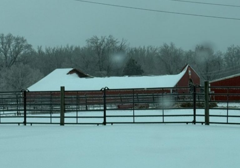 PHOTO SUBMITTED/The Lexington Progress